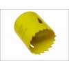 Varipitch Holesaw 24mm