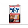 Thompsons Water Seal 1 Litre