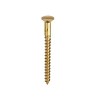 10x2.5" Brass Screws CSK (5.0 x 60mm) (100)