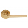 Velino Lever on Rose - Satin Brass