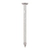 65mm x 2.65 Round Wire Nails 1kg - Galvansied