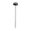 50mm Polymer Head Nails Black Large Head (100)