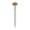 50mm Polymer Head Nails Brown Large Head (100)