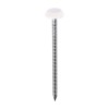 50mm Polymer Head Nails Cream Large Head (100)