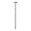 100mm Round Wire Nails 1kg - Galvanised