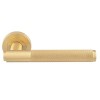 Carlisle Syntax Lever on Round Rose - Satin Brass