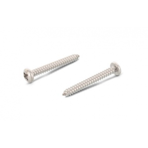 Pan Head Screw (A2 SSS)