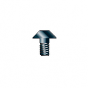 RT/3.5 - Torx screw M3.5 x 5mm 0.6mm 6mm head