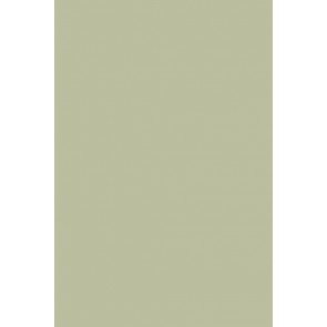 Exterior Eggshell No.234 Vert de Terre 750ml