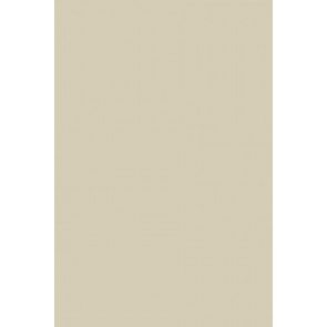Exterior Eggshell No.5 Hardwick White 750ml