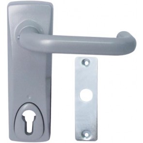 Outside Access Device Lever Silver + Cyl