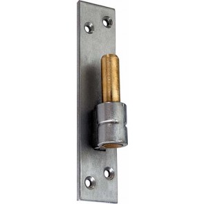 Hinge Pin On Verticl Plate Bss