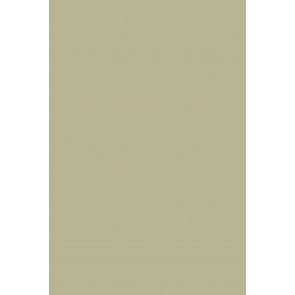 Farrow & Ball Estate Emulsion No.75 Ball Green 2.5L