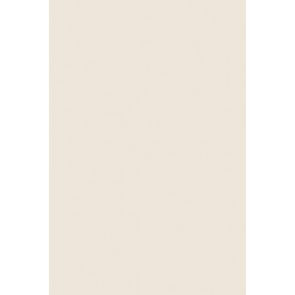 Farrow & Ball Estate Emulsion 2011 Blackened 5L
