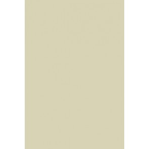 Estate Emulsion No.15 Bone 100ml Sample Pot