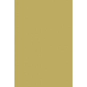 Farrow & Ball Estate Emulsion No.251 Churlish Green 2.5L