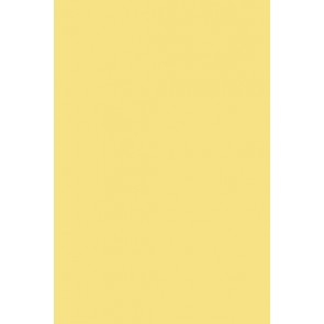 Farrow & Ball Estate Emulsion No.233 Dayroom Yellow 2.5L