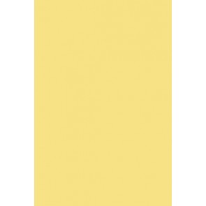 Farrow & Ball Estate Emulsion No.233 Dayroom Yellow 5L