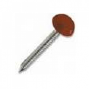 Oak Plastop Nails Small Head (7mm) - Various Sizes