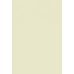Farrow & Ball Estate Emulsion No.206 Green Ground 5L