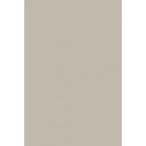 Farrow & Ball Estate Emulsion No.242 Pavilion Gray 2.5L