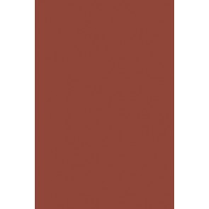 Farrow & Ball Estate Emulsion No.42 Picture Gallery Red 2.5L