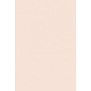 Farrow & Ball Estate Emulsion No.202 Pink Ground 2.5L