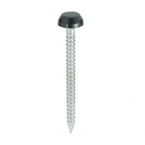 30mm Polymer Head Pins Black (250)