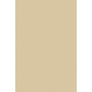 Farrow & Ball Estate Emulsion No.213 Savage Ground 5L