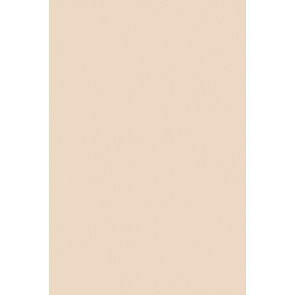 Farrow & Ball Estate Emulsion No.231 Setting Plaster 5L