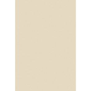 Estate Emulsion No.201 Shaded White 100ml Sample Pot 