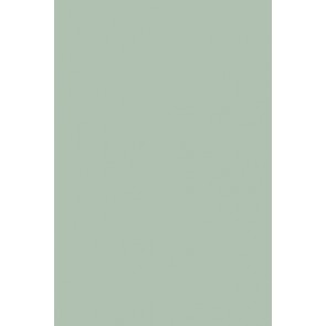 Farrow & Ball Estate Emulsion No.236 Teresa's Green 2.5L