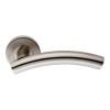 19mm Sprung Curved Lever Handle on Rose SSS
